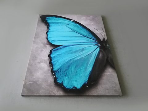картина синя пеперуда