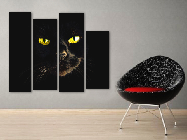 черна котка картина