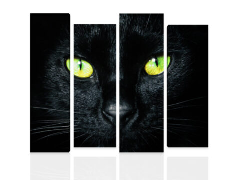 черна котка картина канава