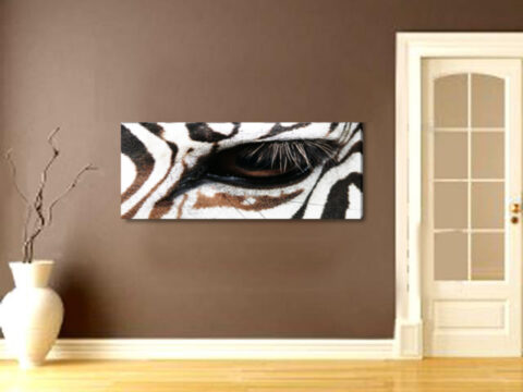 картина око на зебра