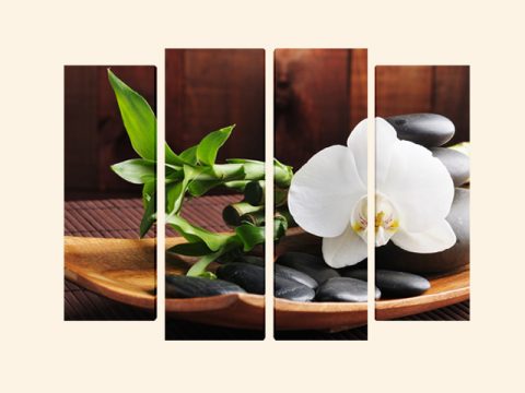пано орхидея бамбук камъни дзен