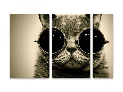котка очила 3 части