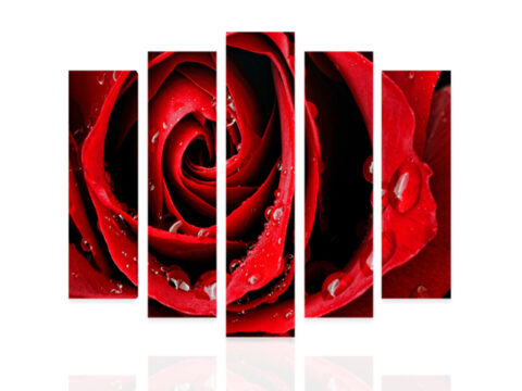 картина червена роза 5 части