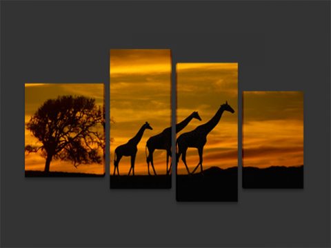 жирафи 4 части