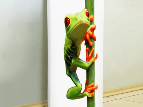 картина жаба