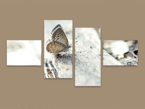 пеперуда 4 части