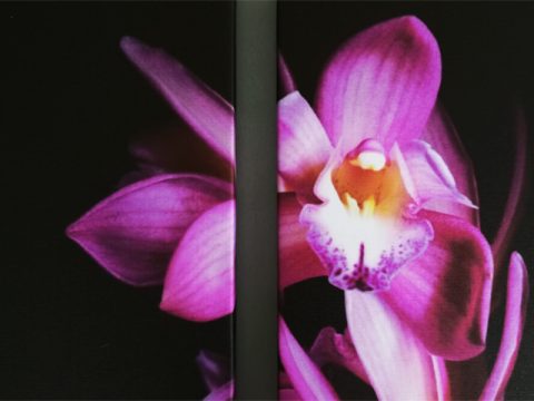 орхидея в черно 5 части