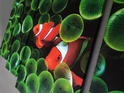 картина пано оранжеви риби