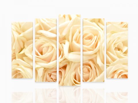 бели рози 5 части