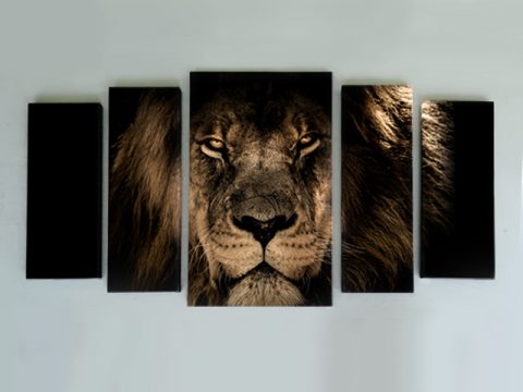 картина лъв 5 части