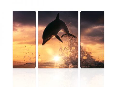 картини делфин канава 3 части