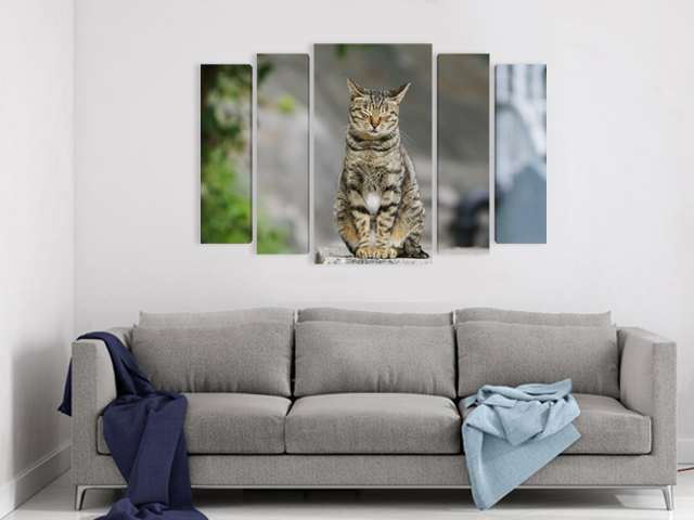 картина сива котка, онлайн магазин картини
